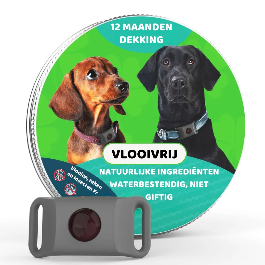 FurLife™ Vlooien- en Tekenband