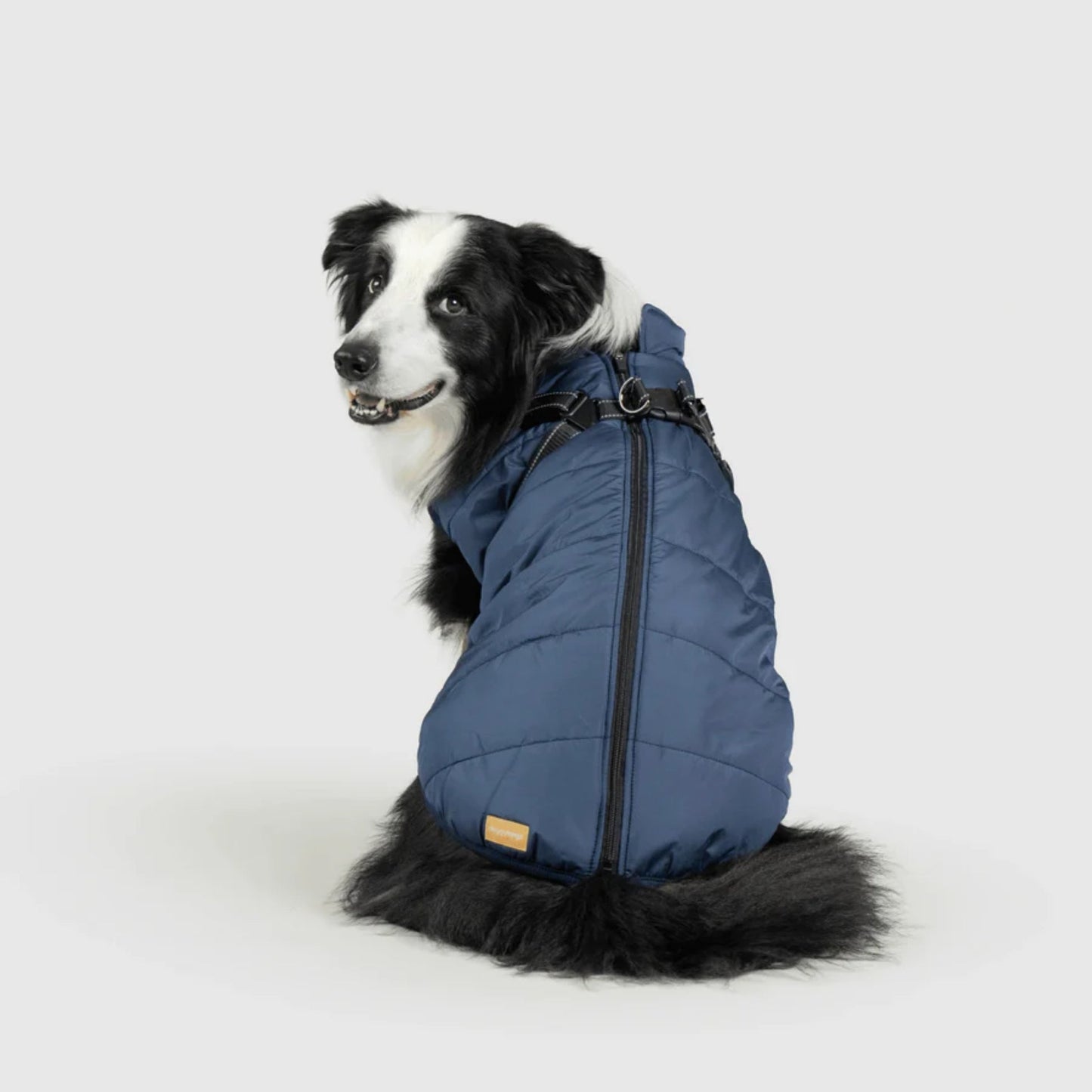 DoggyKings™ Hondenjas met Tuigje - Waterdicht & Warm (3-in-1 Design)
