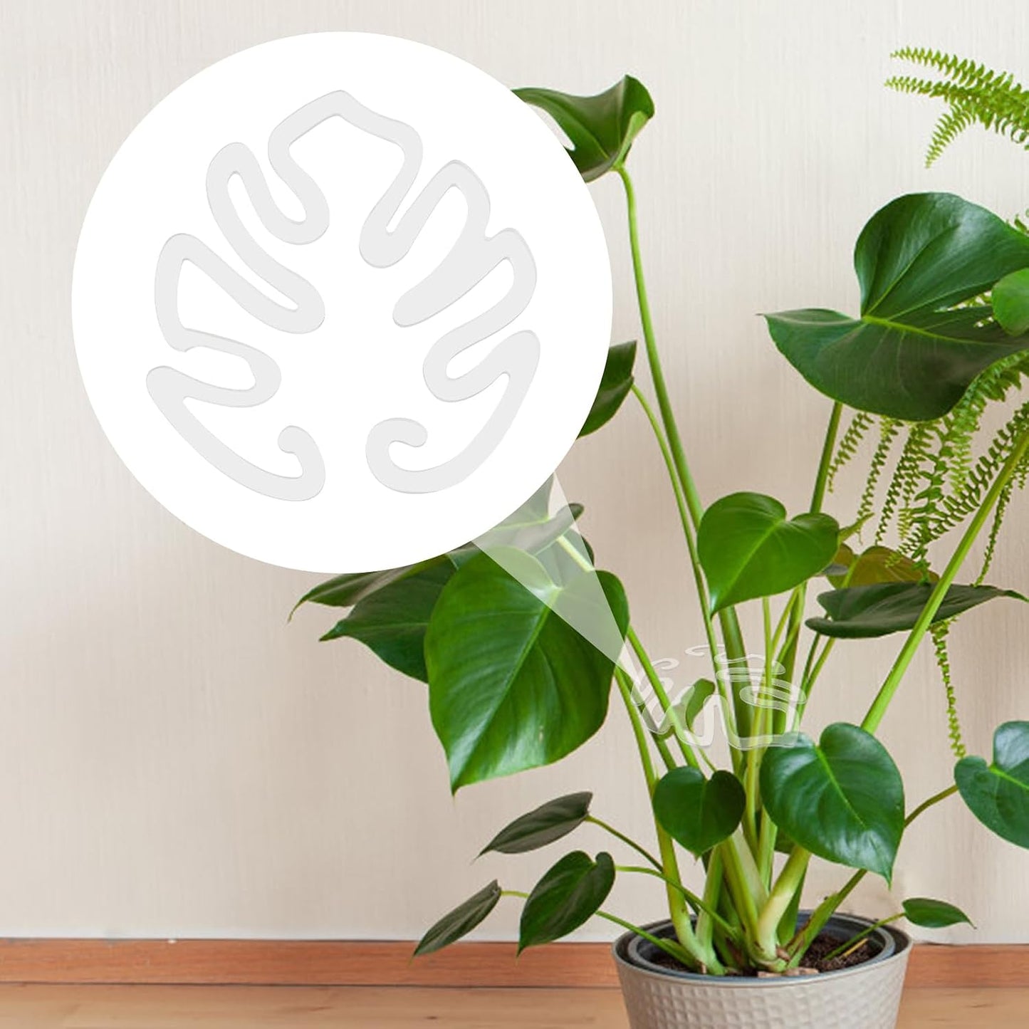 Transparante acryl plantensteun, Monstera bladvorm | Onzichtbare plantensteun voor binnen (1 set 5 stuks.)