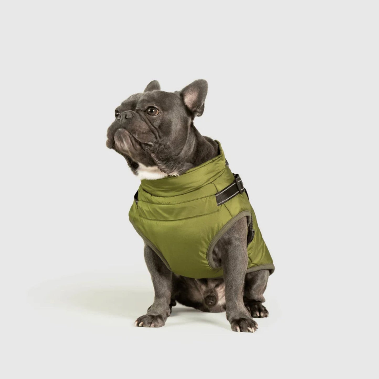DoggyKings™ Hondenjas met Tuigje - Waterdicht & Warm (3-in-1 Design)