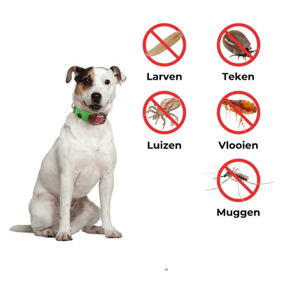 FurLife™ Vlooien- en Tekenband