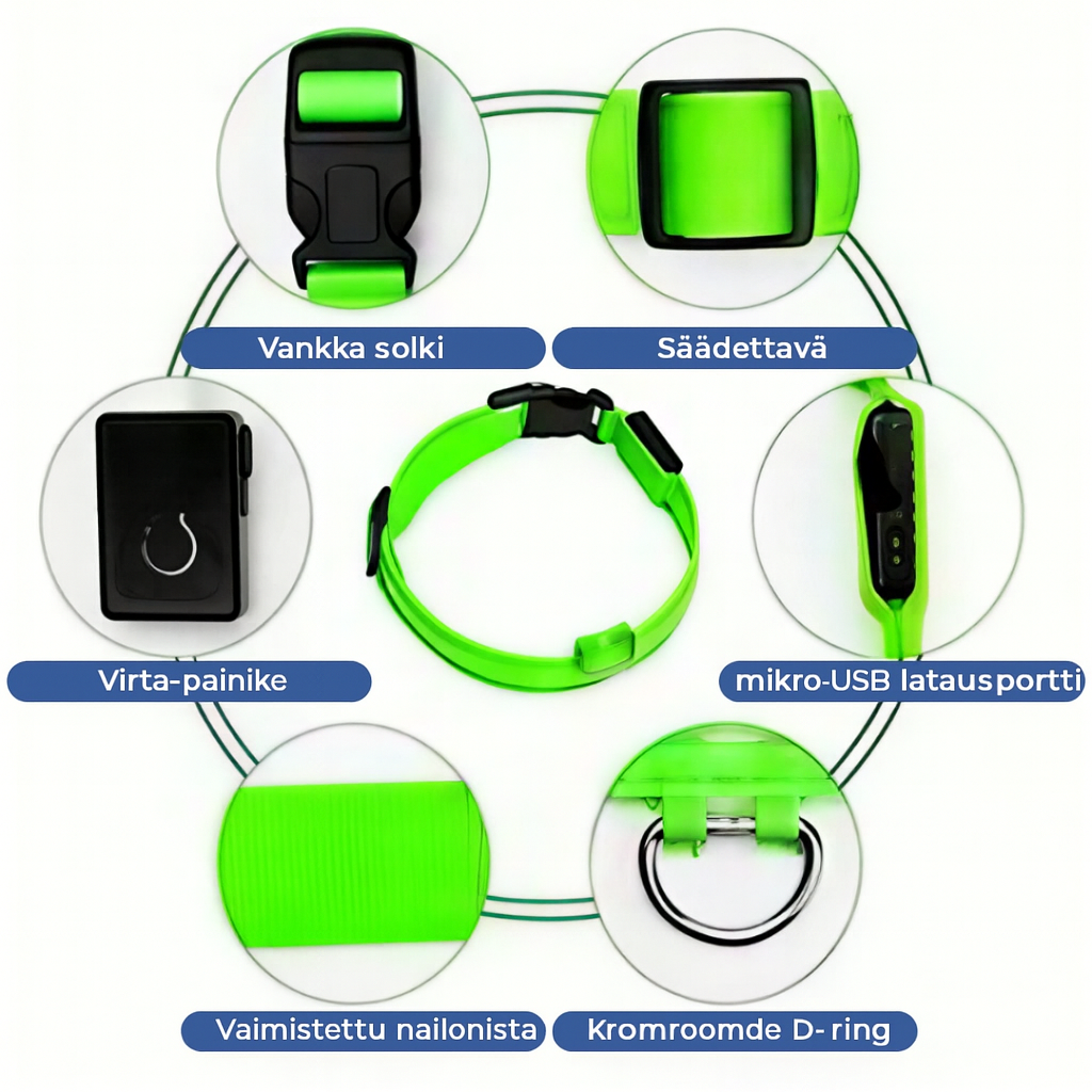 Ladattava LED-koiran kaulapanta (USB:n kautta)