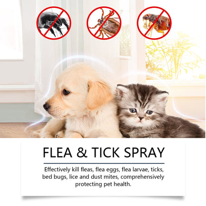 Natuurlijke vlooien- en tekenspray 🐱🐶