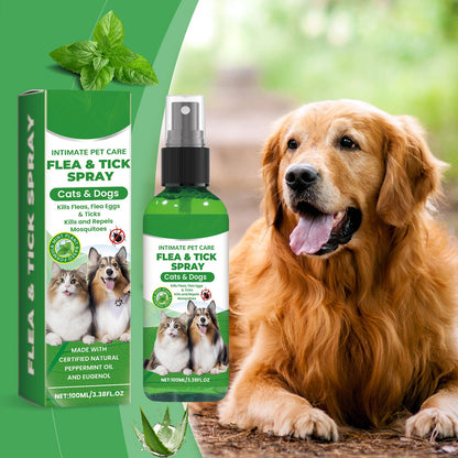 Natuurlijke vlooien- en tekenspray 🐱🐶
