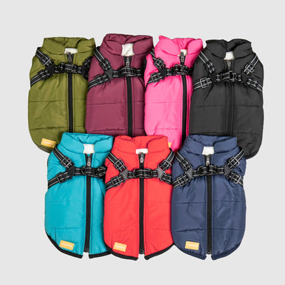 DoggyKings™ Hondenjas met Tuigje - Waterdicht & Warm (3-in-1 Design)