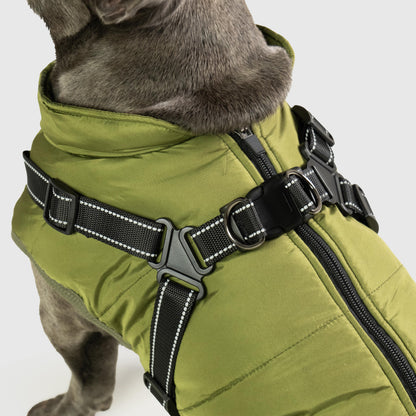 DoggyKings™ Hondenjas met Tuigje - Waterdicht & Warm (3-in-1 Design)
