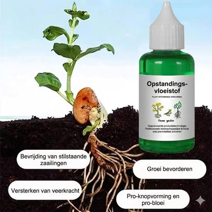Plantenvoeding Oplossing