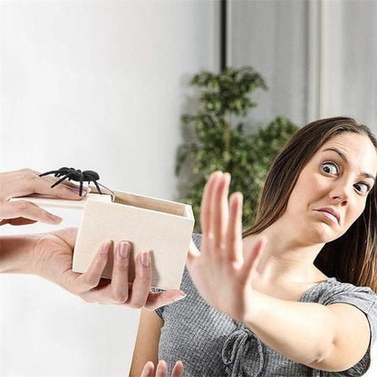 Grappige Spinnen Prank Box