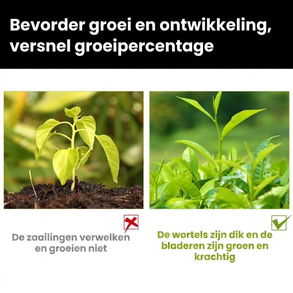 Plantenvoeding Oplossing