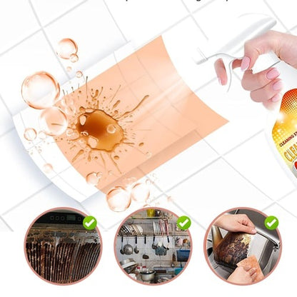 Professionele Keuken Ontvetter (Intensieve Formule)