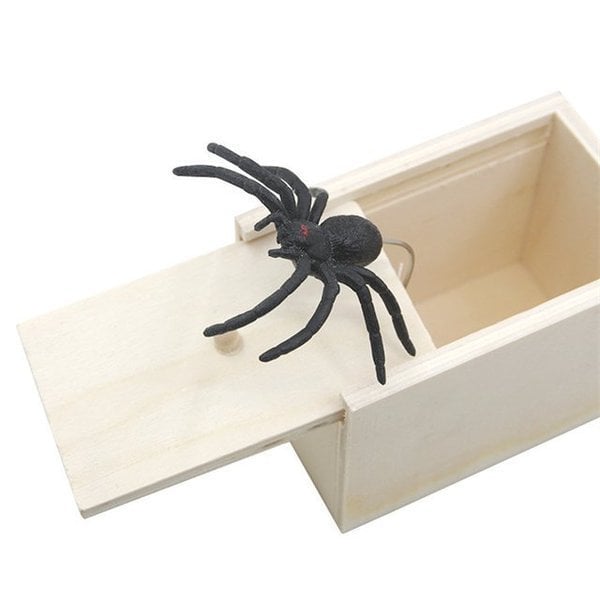 Grappige Spinnen Prank Box