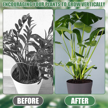 Transparante acryl plantensteun, Monstera bladvorm | Onzichtbare plantensteun voor binnen (1 set 5 stuks.)