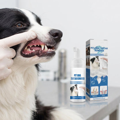 🐶🐱Tandsteenverwijderaar Schuim voor Honden