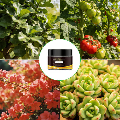 Hoogwaardige Bodemactivator - Voor Gazon & Tuin