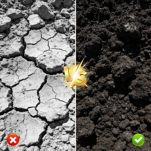 Hoogwaardige Bodemactivator - Voor Gazon & Tuin