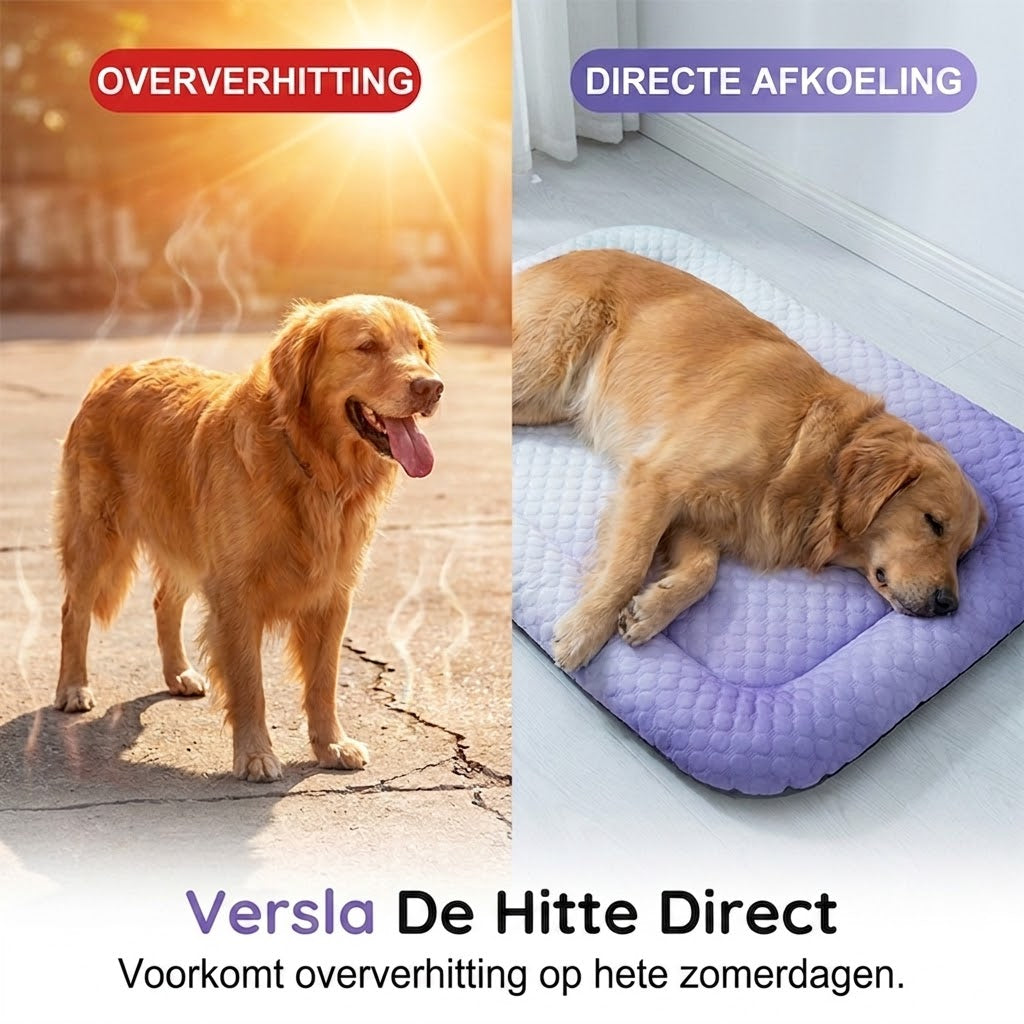 ❄️Gel Koelmat voor Huisdieren – Zomerse Koelmat, Ademend & Gifvrij, Geschikt voor Honden en Katten, Koel Slaapkussen🐶🐱