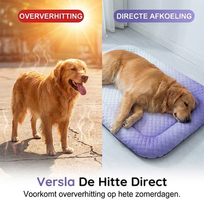 ❄️Gel Koelmat voor Huisdieren – Zomerse Koelmat, Ademend & Gifvrij, Geschikt voor Honden en Katten, Koel Slaapkussen🐶🐱